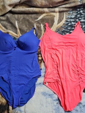 La Vie En Rose One-Piece Swimsuits in Blue and Coral